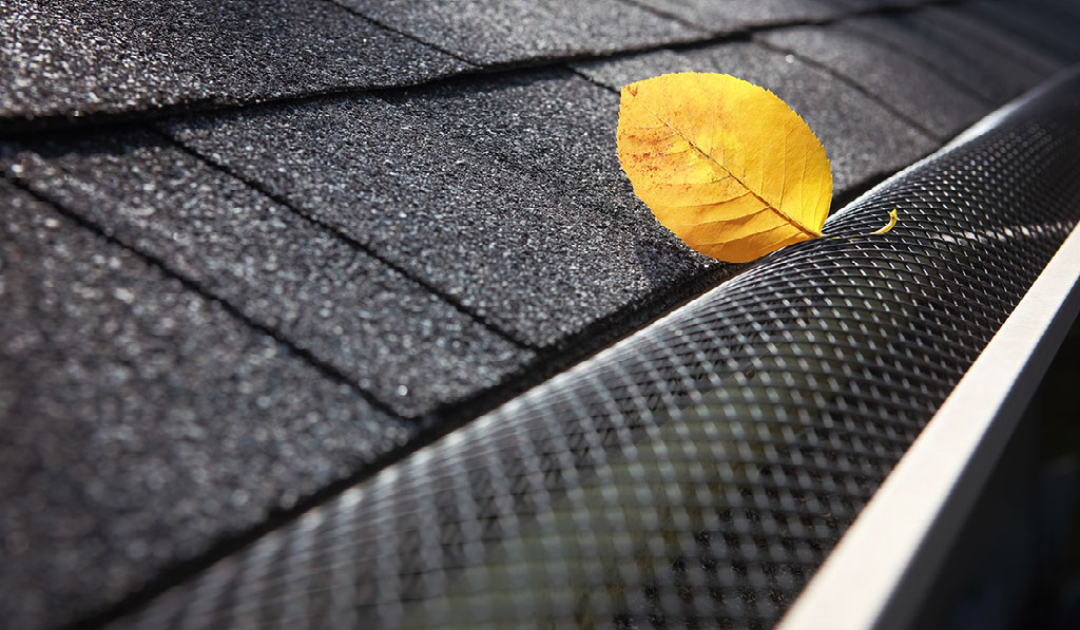 Gutter Protection