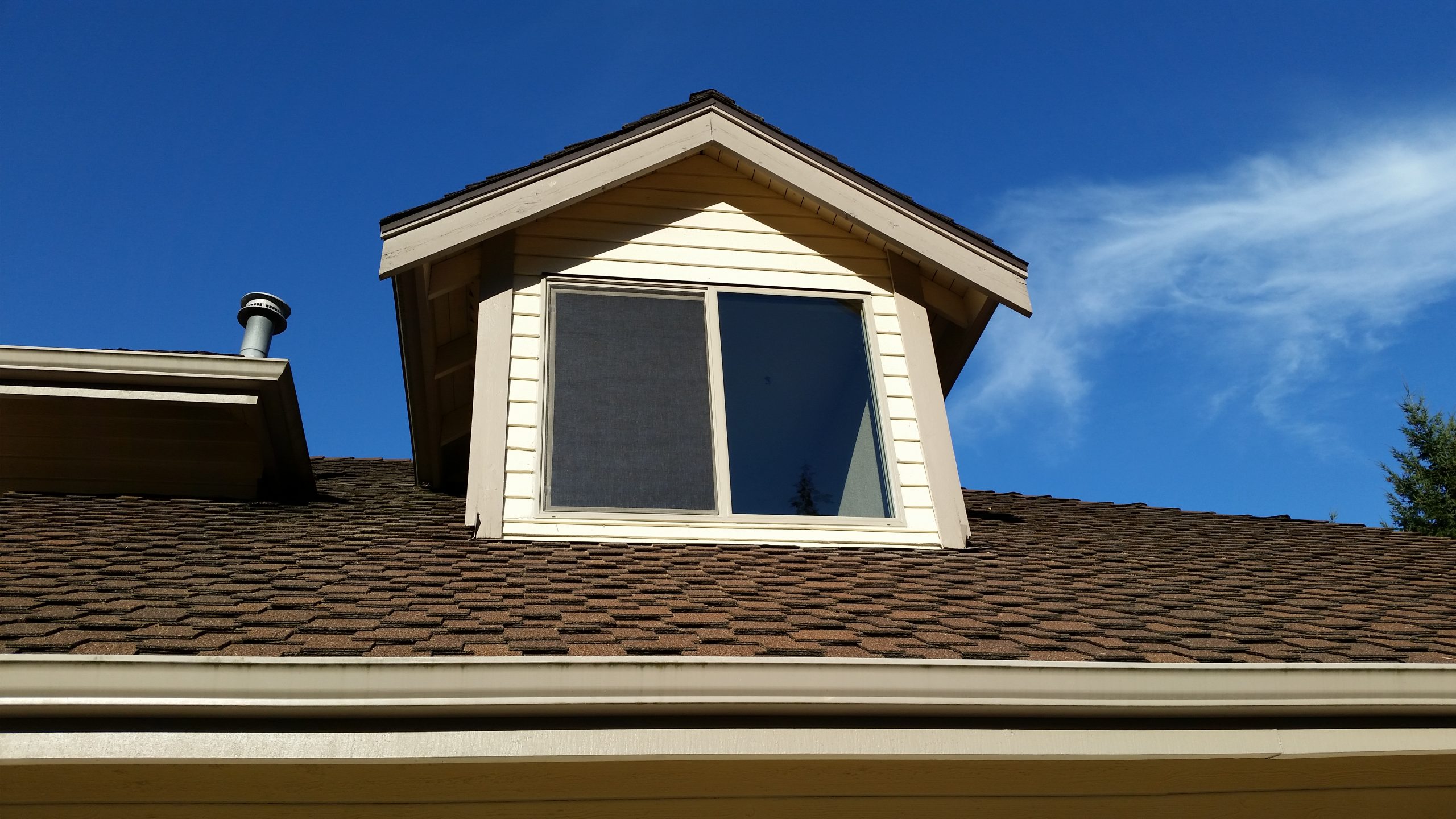 Window Installation Fiegle