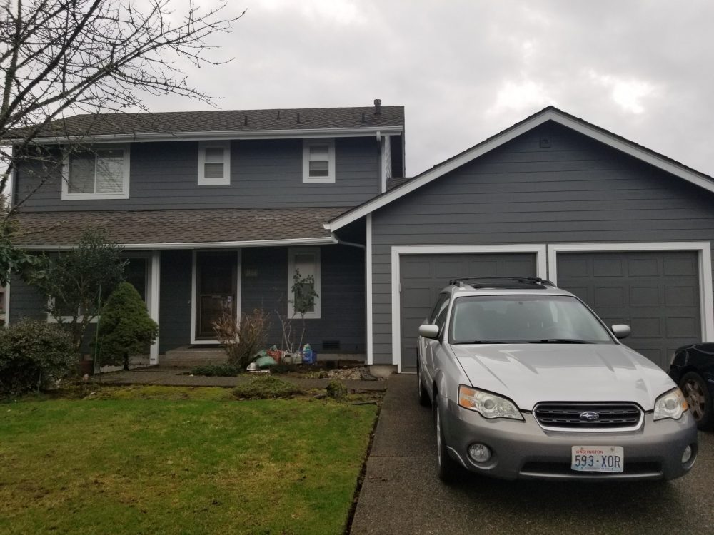 siding painting