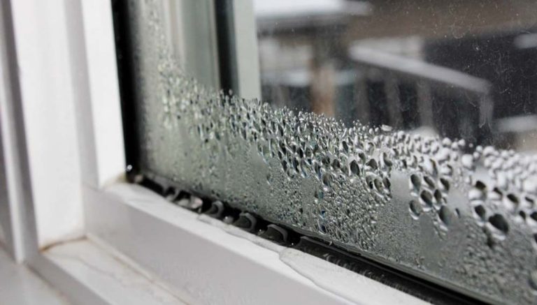 Condensation on Windows: Is It a Sign of a Big Problem?