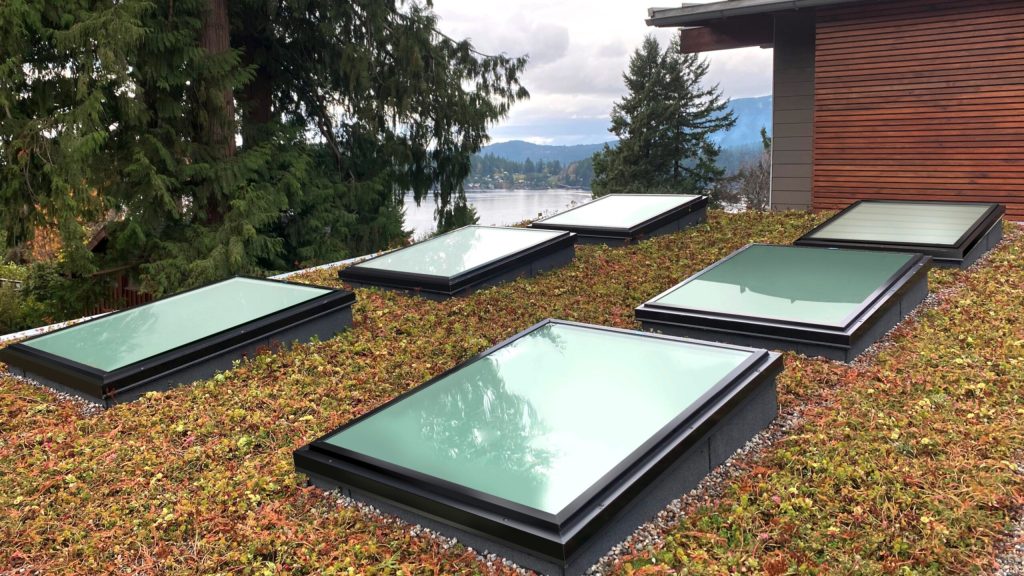 skylight windows