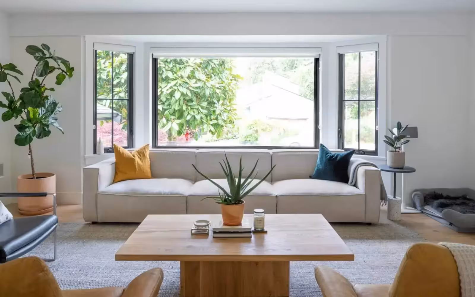 window contractor kent